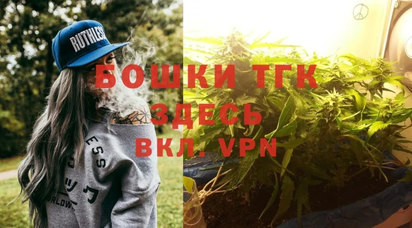 шишки Елабуга
