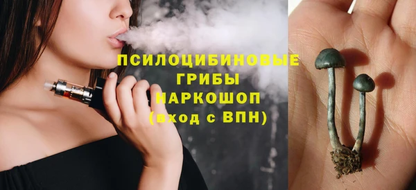 соль ск Елизово