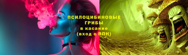 соль ск Елизово