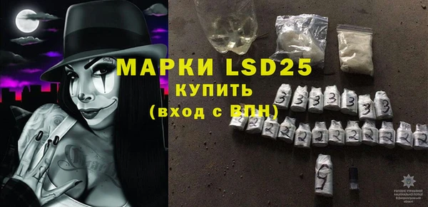 шишки Елабуга