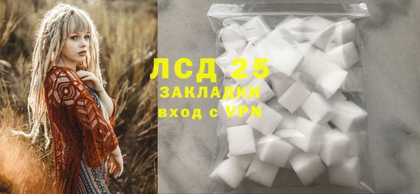 шишки Елабуга