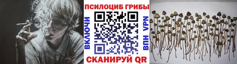 Псилоцибиновые грибы Psilocybe  Иркутск 
