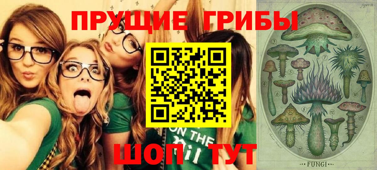 Псилоцибиновые грибы мицелий Иркутск