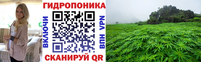 МАРИХУАНА SATIVA & INDICA  наркота  Иркутск 